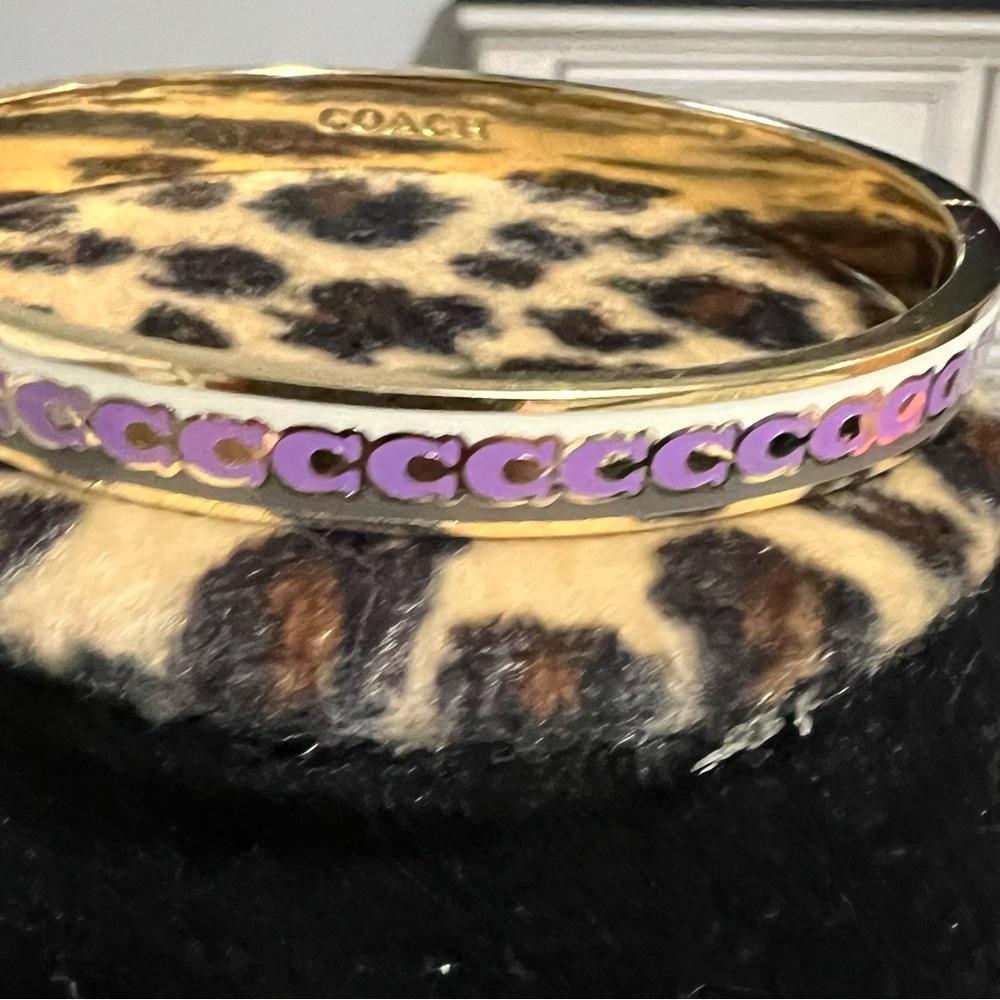 NWT Coach Bracelet and Earrings Set
